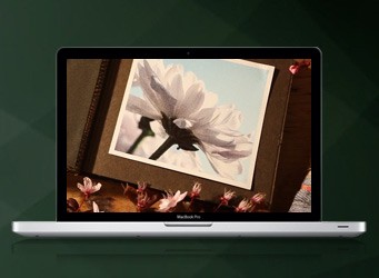 Laptop computer showing Steve Soult Limited video of Artiste coffins