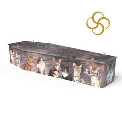 Cat Lover Persona colourful printed coffin