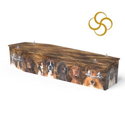 Dog Lover Persona colourful printed coffin