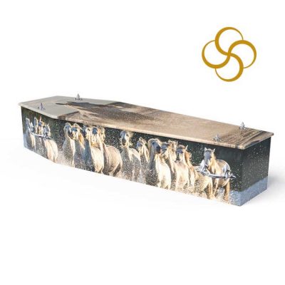 Wild Horses Persona colourful printed coffin